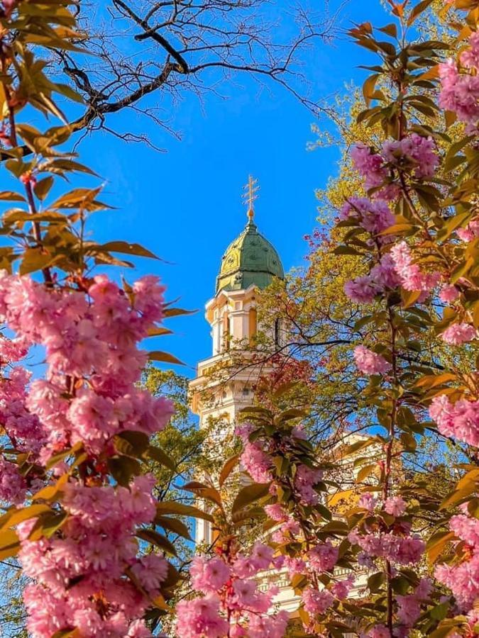 Старовинні Апартаменти У Центрі Міста 우주고로트 외부 사진